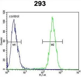 Anti-CLPX antibody used in Flow cytometry (FCM). GTX53477