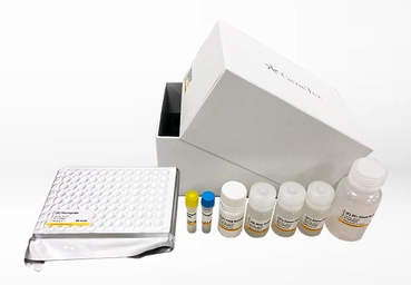 SARS-CoV-2 (COVID-19) Nucleocapsid Protein Sandwich ELISA Kit. GTX535824