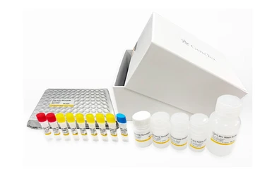 SARS-CoV-2 (COVID-19) Spike-ACE2 Binding / Neutralization Assay Kit. GTX536401
