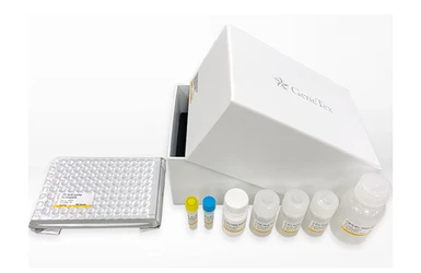 CD81 Sandwich ELISA Kit. GTX545081