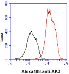 Anti-AK3 antibody [SJB3-36] used in Flow cytometry (FCM). GTX57541
