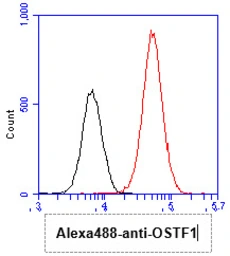 Anti-OSTF1 antibody [AT9G4] used in Flow cytometry (FCM). GTX57564