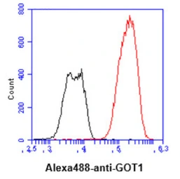Anti-GOT1 antibody [AT3G11] used in Flow cytometry (FCM). GTX57691