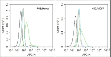 Anti-ST2 antibody used in Flow cytometry (FCM). GTX60302