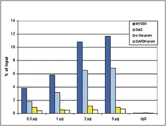 Anti-Histone H4 antibody - ChIP grade used in ChIP assay (ChIP assay). GTX60345