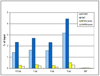 Anti-Histone H2B antibody - ChIP grade used in ChIP assay (ChIP assay). GTX60346