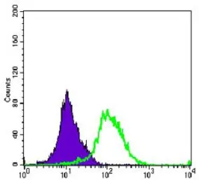 Anti-Aurora A antibody [1F8] used in Flow cytometry (FCM). GTX60391