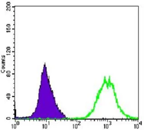 Anti-alpha Smooth Muscle Actin antibody [1H8] used in Flow cytometry (FCM). GTX60393