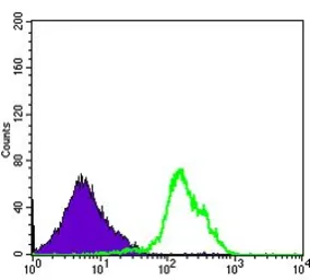 Anti-CD1a antibody [6H3] used in Flow cytometry (FCM). GTX60416