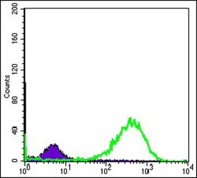 Anti-HSP60 antibody [3G8] used in Flow cytometry (FCM). GTX60424