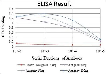 Anti-ERK3 antibody [4E8] used in ELISA (ELISA). GTX60425