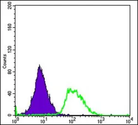 Anti-PODXL antibody [5F5] used in Flow cytometry (FCM). GTX60437