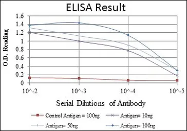 Anti-OTX2 antibody [1H12C4B5] used in ELISA (ELISA). GTX60448