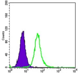 Anti-OTX2 antibody [1H12C4B5] used in Flow cytometry (FCM). GTX60448