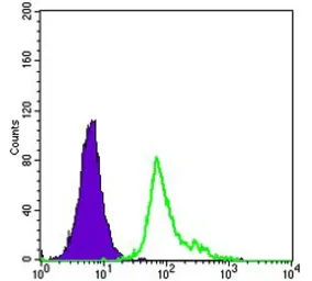 Anti-CD105 antibody [3A9] used in Flow cytometry (FCM). GTX60452