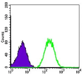Anti-BLNK antibody [5G9] used in Flow cytometry (FCM). GTX60463
