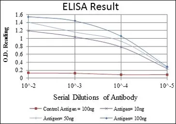 Anti-NFkB p105/p50 antibody [5D10D11] used in ELISA (ELISA). GTX60465