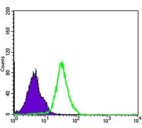 Anti-NFkB p105/p50 antibody [5D10D11] used in Flow cytometry (FCM). GTX60465