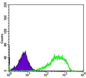 Anti-Ku80 antibody [5C5] used in Flow cytometry (FCM). GTX60468