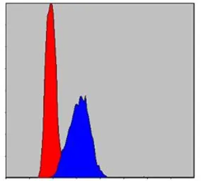 Anti-AIF antibody [4E7] used in Flow cytometry (FCM). GTX60476