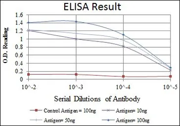 Anti-MMP9 antibody [5G3] used in ELISA (ELISA). GTX60482