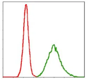 Anti-KCNQ1 antibody [5E12] used in Flow cytometry (FCM). GTX60528