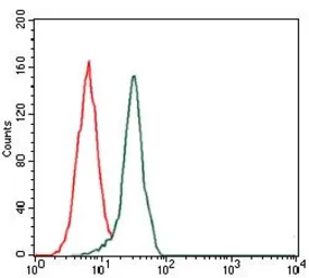 Anti-Fibronectin antibody [2F4] used in Flow cytometry (FCM). GTX60570