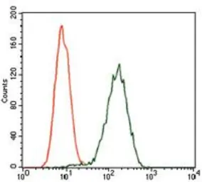 Anti-Glypican-3 antibody [9C2] used in Flow cytometry (FCM). GTX60603