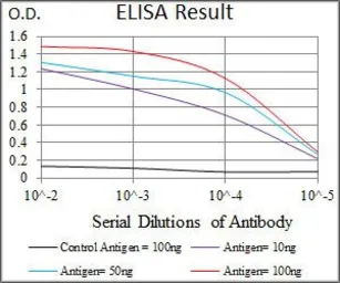 Anti-SPIB antibody [4G5] used in ELISA (ELISA). GTX60635