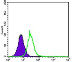 Anti-KEAP1 antibody [1F10B6] used in Flow cytometry (FCM). GTX60660