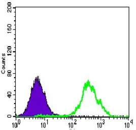 Anti-ATP citrate lyase antibody [5F8D11] used in Flow cytometry (FCM). GTX60666