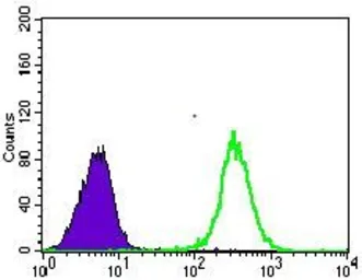 Anti-GLUT4 antibody [3G10A3] used in Flow cytometry (FCM). GTX60674