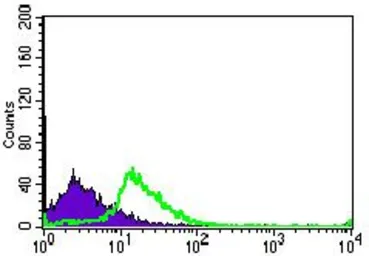 Anti-TGF beta Receptor III antibody [1C5H11] used in Flow cytometry (FCM). GTX60683