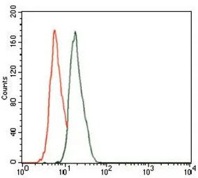 Anti-CBX8 antibody [9C3D4] used in Flow cytometry (FCM). GTX60704