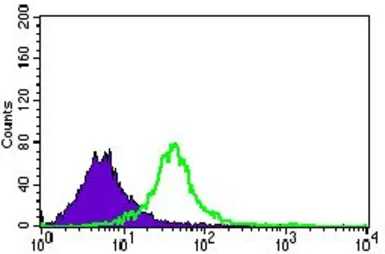Anti-Nucleostemin antibody [2C8D5] used in Flow cytometry (FCM). GTX60706