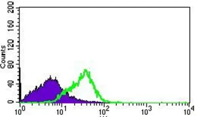 Anti-DNAL4 antibody [3B7B7] used in Flow cytometry (FCM). GTX60740
