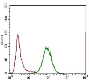 Anti-IL3 Receptor alpha antibody [8E11C5] used in Flow cytometry (FCM). GTX60786