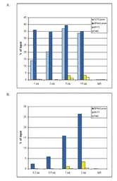 Anti-Histone H2A.Z (acetyl Lys4/Lys7/Lys11) antibody - ChIP grade used in ChIP assay (ChIP assay). GTX60813