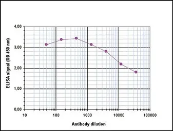 Anti-Histone H2A.Z (acetyl Lys4/Lys7/Lys11) antibody - ChIP grade used in ELISA (ELISA). GTX60813