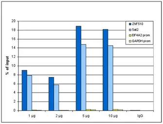 Anti-Histone H3K9me3 (Tri-methyl Lys9) antibody - ChIP grade used in ChIP assay (ChIP assay). GTX60824