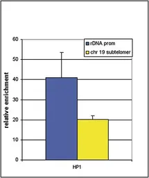 Anti-pan-HP1 antibody - ChIP grade used in ChIP assay (ChIP assay). GTX60833
