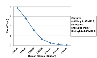 Rabbit Anti-Human IgA antibody [RM128]. GTX60873