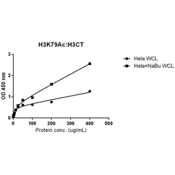 Anti-Histone H3K79ac (Acetyl Lys79) antibody [RM156] used in ELISA (ELISA). GTX60883