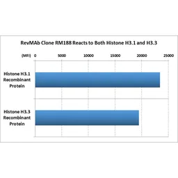 Anti-Histone H3 antibody [RM188] used in  (). GTX60888