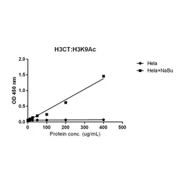 Anti-Histone H3 antibody [RM188] used in ELISA (ELISA). GTX60888