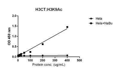 Anti-Histone H3 antibody [RM188] used in ELISA (ELISA). GTX60888