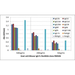 Goat Anti-Mouse IgG (Fc) antibody [RMG06]. GTX60924