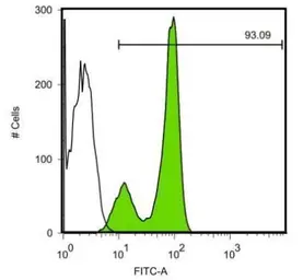 Anti-SOX2 antibody [GT1352] used in Flow cytometry (FCM). GTX627405