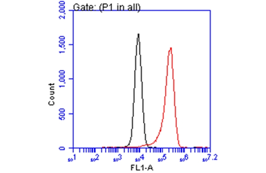Anti-E-Cadherin antibody [GT477] used in Flow cytometry (FCM). GTX629691