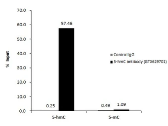 Anti-5-Hydroxymethylcytosine / 5-hmC antibody [GT513] used in Methylated DNA Immunoprecipitation (MeDIP). GTX629701